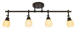 Elm Park 4-Head Bronze Complete Track Light Kit