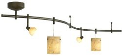 TLA-RAIL KIT 28IN ONYX  BZ
