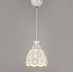 GL&G Simple iron three-head Chandelier Pendent Light for Hallway,Bedroom,Kitchen,Kids Room,L ...