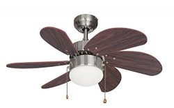 Ustellar 30 Inch Ceiling Fan with Lights, Reversible Ceiling Fans Fixture with Light Kit, 6 Wood ...