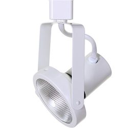 Direct-Lighting 50005 White PAR30 Gimble Ring Line Voltage Track Lighting Head