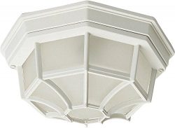 Maxim 1020WT Crown Hill 2-Light Outdoor Ceiling Mount, White Finish, Frosted Glass, MB Incandesc ...