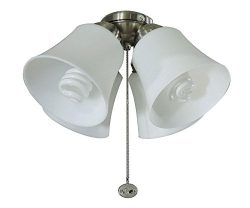 Universal Ceiling Fan Light Kit 4 Light Brushed Nickel