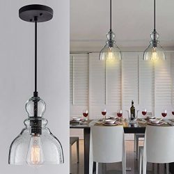 DONGLAIMEI Industrial Mini Pendant Lighting with Handblown Clear Seeded Glass Shade, Adjustable  ...