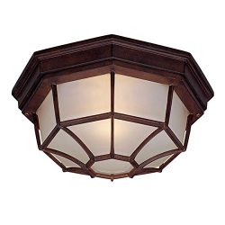 Acclaim 2002BW Flush Mount Collection 2-Light Ceiling Mount Outdoor Light Fixture, Burled Walnut