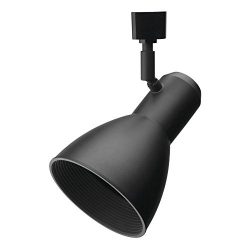 Lithonia Lighting LTHSTBF BR30 DBL M4 Step Baffle Track Head, Black,