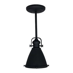 RV Trailer Decorative Pendent Light 12V LED Black