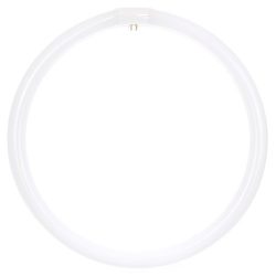 Sunlite FC16T9/DL Fluorescent 40W T9 Circline Ceiling Lights, 6500K Daylight Like Light, 4-Pin Base