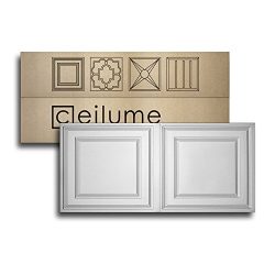 10 pc – Ceilume Stratford Ultra-Thin Feather-Light 2×4 Lay In Ceiling Tiles – F ...