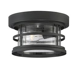 Savoy House 5-369-10-BK Barrett 10″ Outdoor Ceiling Light