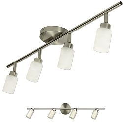 Brushed Nickel 4 Light Track Lighting Wall or Ceiling Mount Fixture