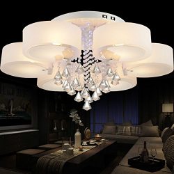 COLORLED Modern Minimalist Acrylic Remote Control Ceiling Light with 6-Light Flower Shaped Round ...