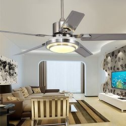 Andersonlight Stainless Steel Ceiling Fan for Modern Living Room Iron Leaves Remote Control Dimm ...
