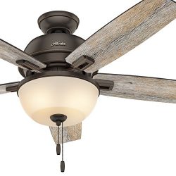 Hunter Fan 52 in. Low Profile Ceiling Fan with Light and LED bulbs in Onyx Bengal (Certified Ref ...