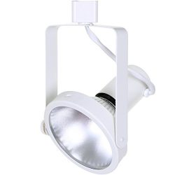 Direct-Lighting 50006 White PAR38 Gimble Ring Line Voltage Track Lighting Head