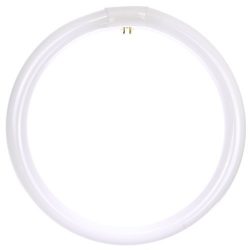 Sunlite FC12T9/CW Fluorescent 32W T9 Circline Ceiling Lights, 4100K Cool White Light, 4-Pin Base