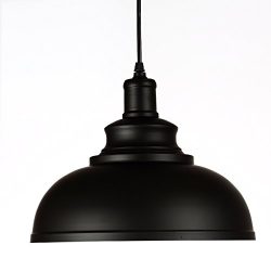 WINSOON 1PC Modern Style Metal Ceiling Lamp Wall Vintage Loft Pendant Light Retro Industrial (Black)