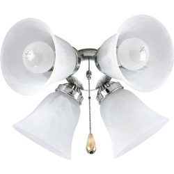 Progress Lighting P2610-09 4-Light Kit with White Washed Alabaster Style Glass For Use with P250 ...