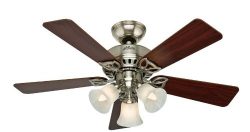 Hunter 53079 The Beacon Hill 42-inch Brushed Nickel Ceiling Fan with Five Cherry/Maple Blades an ...