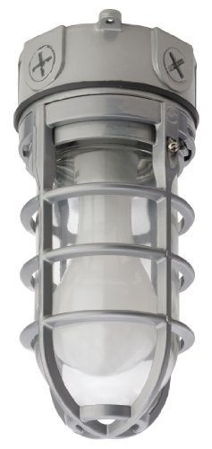 Lithonia Lighting OVT 150I 120 M6 A21 150-Watt Vapor Tight Incandescent Lamp, Glass Globe, Guard