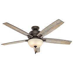 Hunter 54170 60″ Donegan Onyx Bengal Ceiling Fan with Light