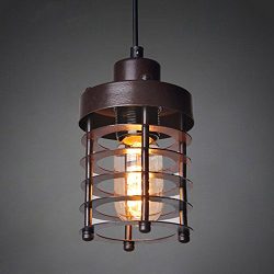 WINSOON 1PC Modern Style Metal Lamp Wall Lamp Vintage Loft Pendant Light Retro Edison Cage Desig ...