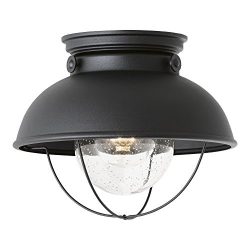 Sea Gull Lighting 8869-12 Sebring One-Light Outdoor Flush Mount Ceiling Light with Clear Seeded  ...