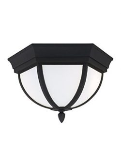 Sea Gull 79136-12 Wynfield Outdoor Ceiling Flush Mount, 2-Light 120 Total Watts, Black