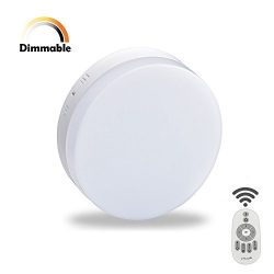 8.86″ Dimmable LED Ceiling Light Flush Mount Fixture 24W 1920lm (100W Incandescent Equival ...