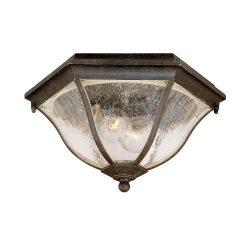 Acclaim 5615BC Flush Mount Collection 2-Light Ceiling Mount Outdoor Light Fixture, Black Coral