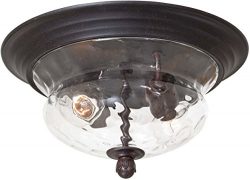 Minka Lavery 8769-166 2 Light Flush Mount in Corona Bronze Finish w/Clear Hammered Glass