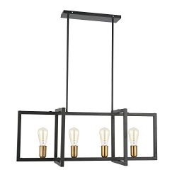 Light Society Paradigm 4-Light Kitchen Island Pendant, Matte Black with Antique Brass Finish, Ge ...