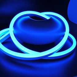 CBconcept ETL Listed 120 Volt LED NEON Flexible Lighting Strip, 30 Feet, BLUE, Waterproof Resist ...