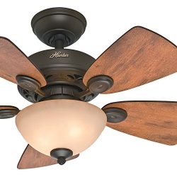 Hunter Fan 34″ New Bronze Finish Ceiling Fan with Tea-Stain Glass Bowl Light Kit (Certifie ...