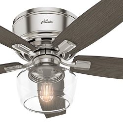 Hunter Fan 52 in. Low Profile Ceiling Fan with LED Globe Light Kit, Brushed Nickel (Certified Re ...