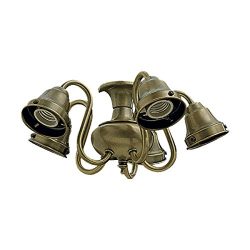 Quorum International 2530-CFL 5 Arm Ceiling Fan Light Kit with CFL Bulbs, Antique Brass
