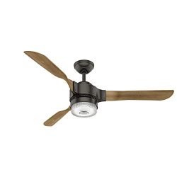 Hunter 59226 Apache Ceiling Fan with Light with Handheld Remote, 54-inch, Noble Bronze, works wi ...