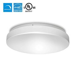 Ceiling Light Model R, D, S (4000k (Daylight Glow), 14” [Model D])