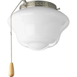 Progress Lighting P2644-09 Schoolhouse Universal Indoor Fan Light Kit, Brushed Nickel