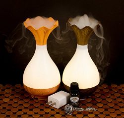 Stress Relieving Essential Oil Starter Kit – Ultrasonic Cool Mist Essential Oil Diffuser, Aromat ...