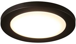 Cloudy Bay 12 inch Ceiling Light LED Flush Mount,17W Dimmable,5000K Day Light,1100lm 120W Incand ...