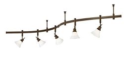 TIELLA 5-Light Kiri Rail Kit Flexible Track Lighting Bronze