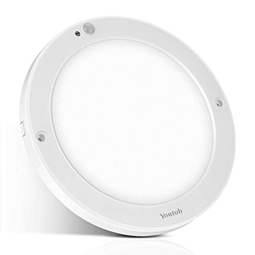 Motion Sensing Indoor/Outdoor LED Ceiling Light, 100 Watt ...