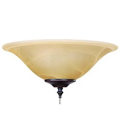 Yosemite Home Décor LK8336-ORB Ceiling Fan Accessories Light Kit, Oil Rubbed Bronze