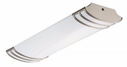 Lithonia Lighting Brushed Nickel 2-Ft Flush Mount Light for Kitchen | Attic | Basement | Home, 4 ...