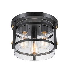 Globe Electric Wexford 3-Light Flush Mount Ceiling Light, Dark Bronze, Brass Detail, Clear Glass ...