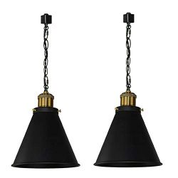 KIVEN H-System 3 Wire Track Mount Lighting Fixture Swag Light Come with Chain -2 Lights