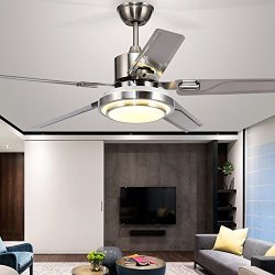 Andersonlight Brushed Steel Indoor Ceiling Fan, Light Kit with White Acrylic Glass and Remote (5 ...