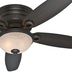 Hunter Fan 52″ Hugger Ceiling Fan in Onyx Bengal with a Florence Glass Light Kit, 5 Blade  ...