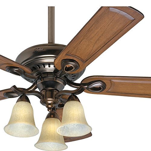 Hunter Fan 52 inch Traditional Ceiling Fan in Bronze Patina with Light Kit and 5 Caramel Carved ...